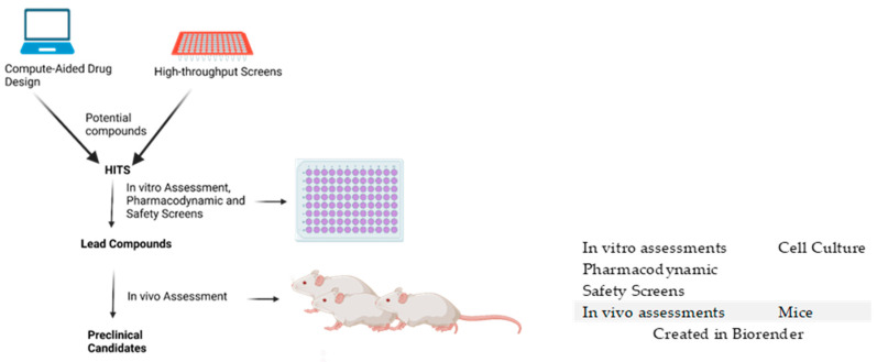Fig.1 Antimalarial drug discovery workflow. (OA Literature)