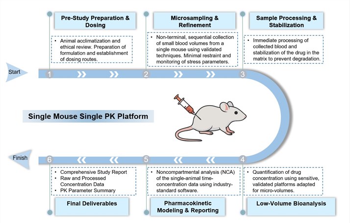 Core steps of single mouse single PK process development. (Creative Biolabs Original)