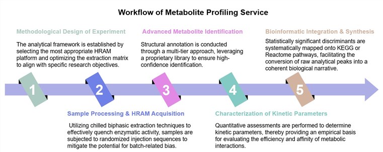 Core steps of metabolite profiling service. (Creative Biolabs Original)