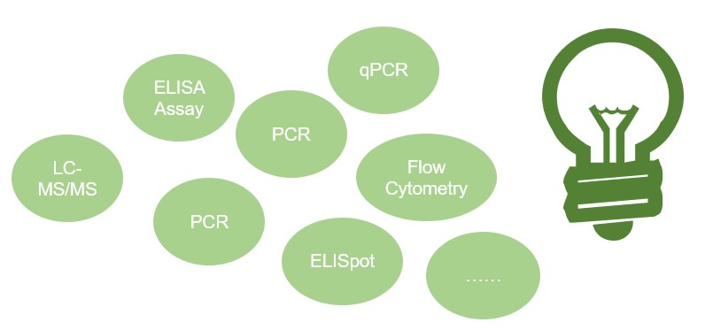 Our platform. (Creative Biolabs Original)