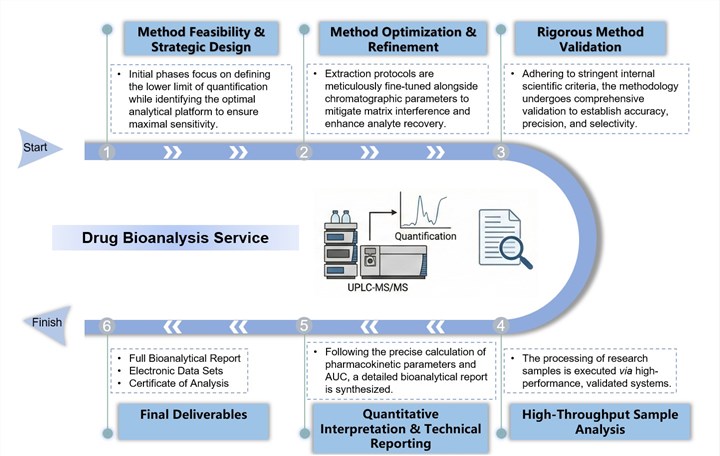 Core steps of drug bioanalysis service. (Creative Biolabs Original)