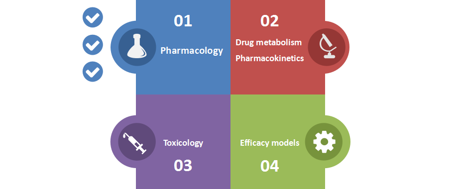Fig.1 Types of services for preclinical testing. (Creative Biolabs Original)