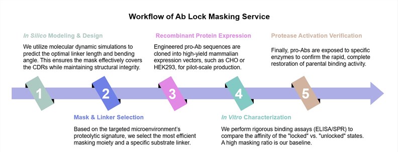 Core steps of Ab lock masking services. (Creative Biolabs Original)