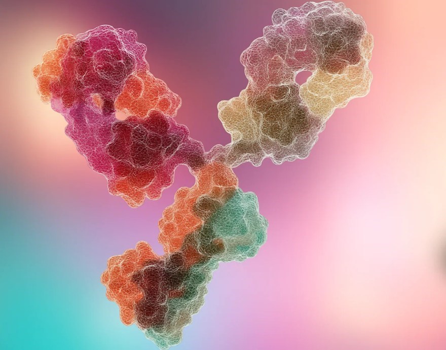 Key services of cGMP manufacturing. (Creative Biolabs AI)