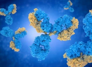 Key services of cGMP manufacturing. (Creative Biolabs AI)