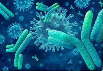 Key services of cGMP manufacturing. (Creative Biolabs AI)