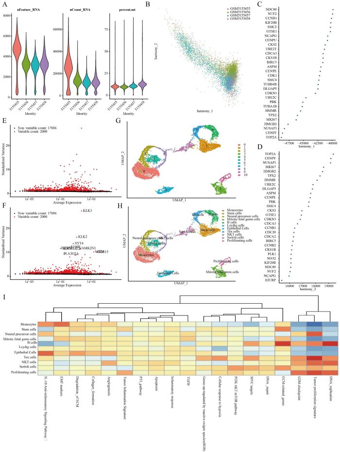 Fig 1. Identification of stem cell marker genes. (OA Literature)