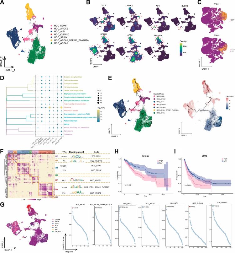 Fig 1. Landscape of HCC subpopulations identified. (OA Literature)
