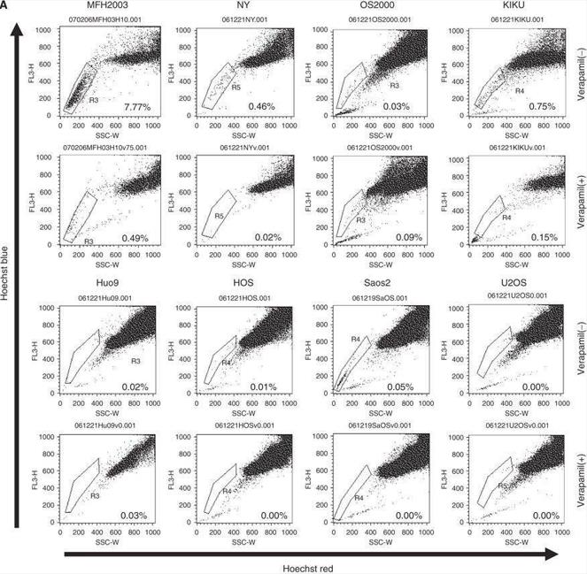 Fig 1. The populations of SP cells of seven osteosarcoma cell lines and of one bone MFH cell line. (OA Literature)
