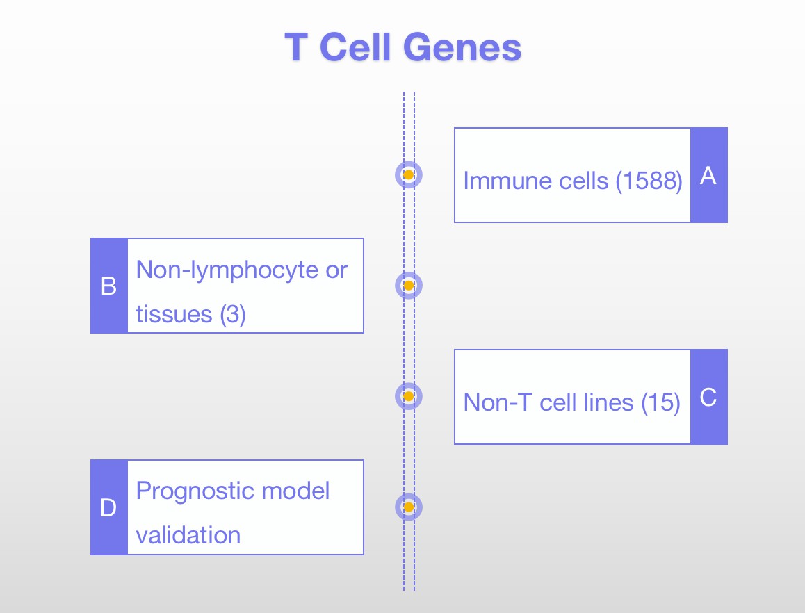 The Process of T Cell Gene Signature Technology.