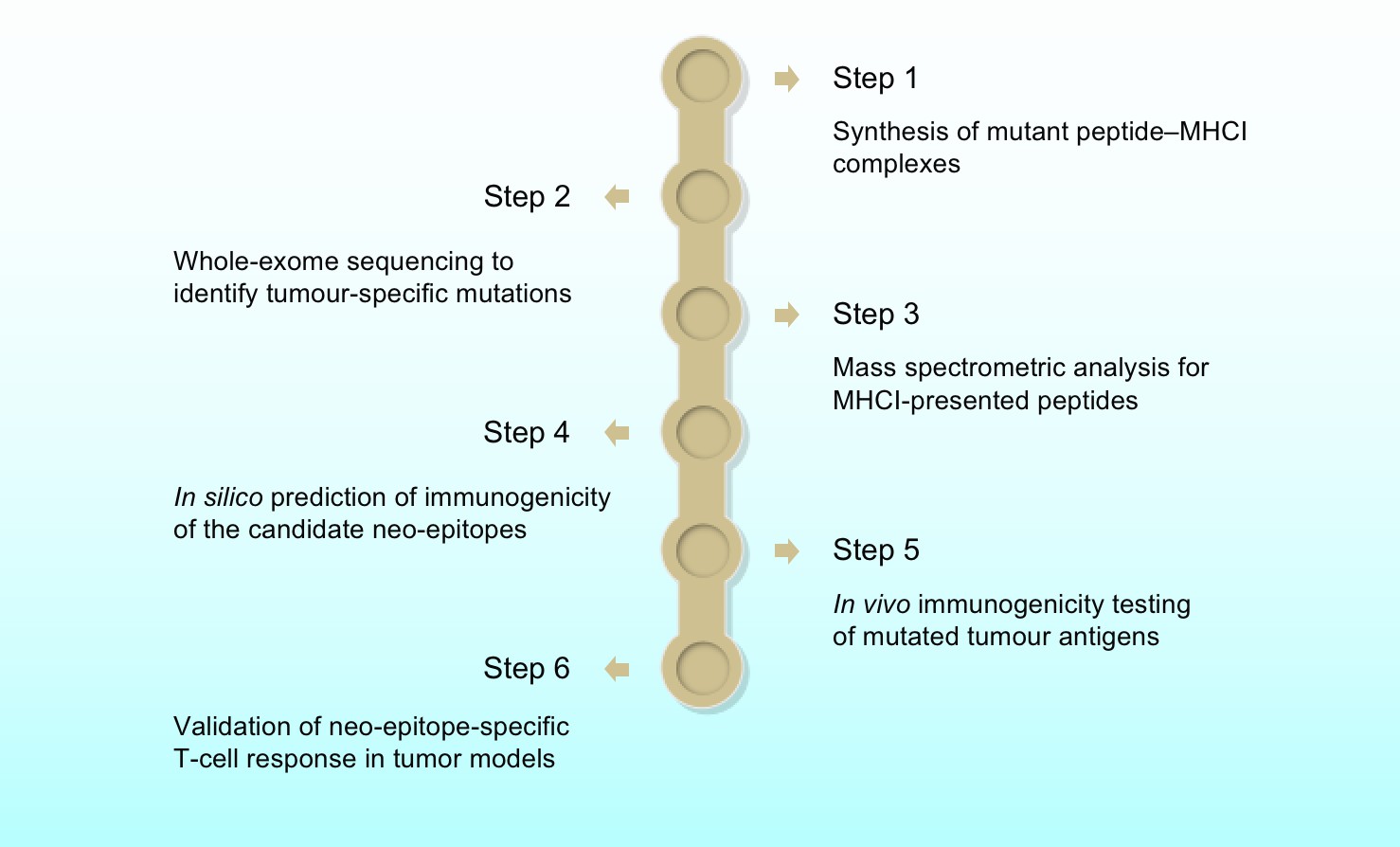 The Routine Analysis Process of CBpHLA™ Platform.