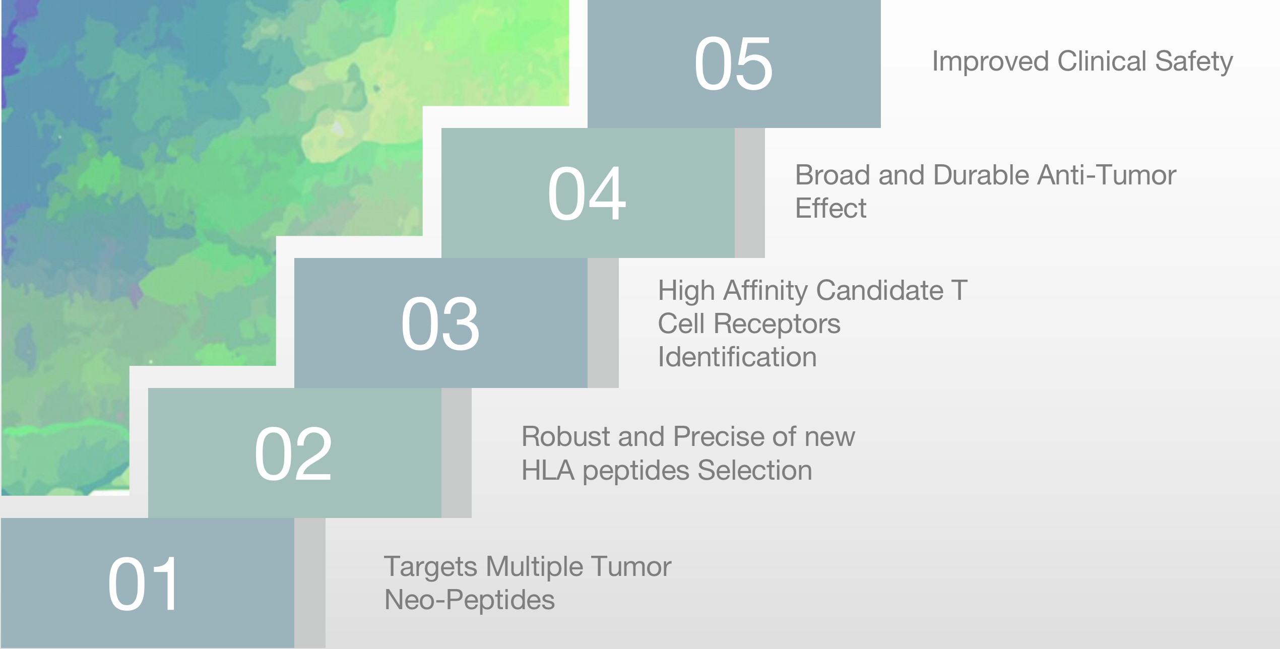 The Advantages of the CBpHLA™ Platform