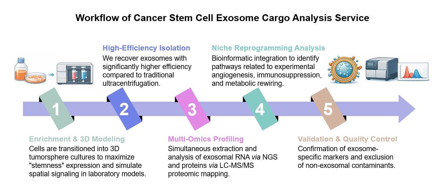 Core steps of CSC exosome cargo analysis service. (Creative Biolabs Original)
