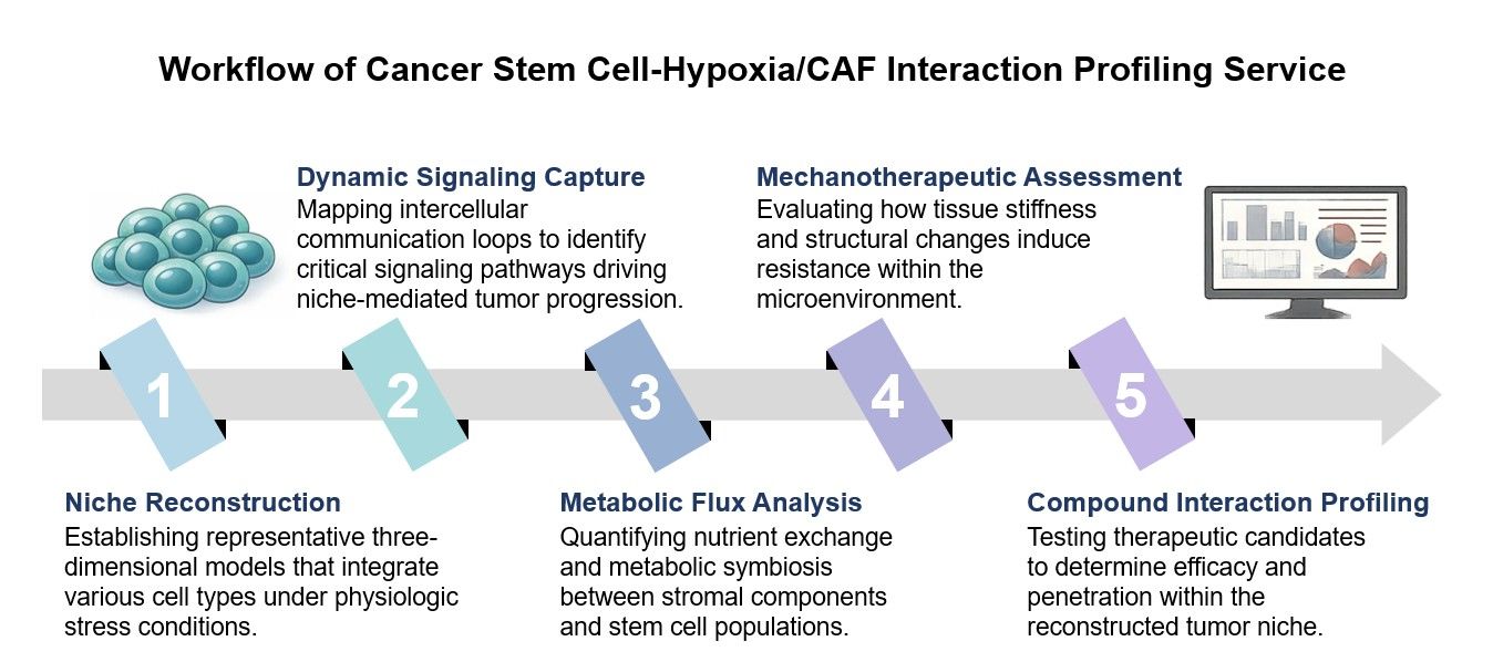 Core steps of CSC-Hypoxia/CAF interaction profiling service. (Creative Biolabs Original)