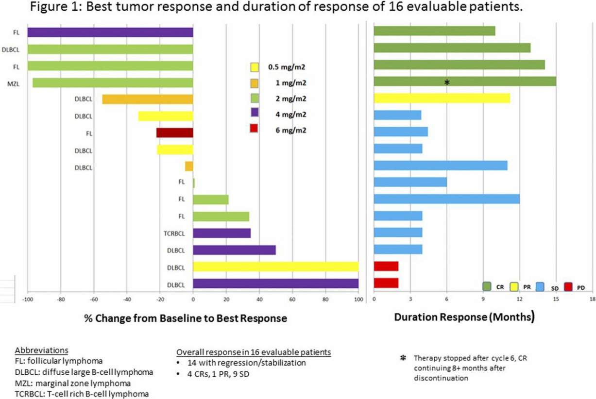Promising tumor response and duration of response in 16 evaluation patients with DI-Leu16-IL2 therapy.