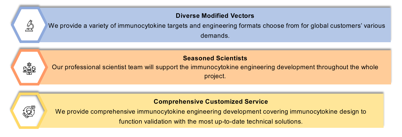 Various formats of Immunocytokines.