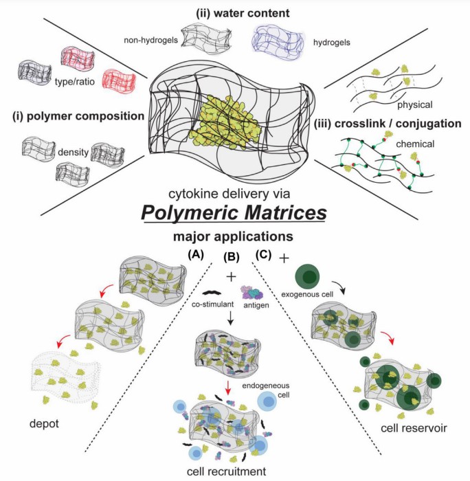 The main design parameters and application of polymeric matrices used in cytokine therapies. 