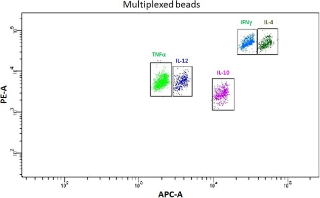 Multiplexed CBA (cytokine bead array) application in identifying cytokines.