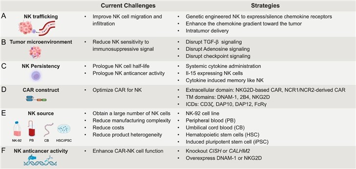 Fig.1 Strategies to overcome current limitations of CAR-NK cell therapy in solid tumors. (OA Literature)