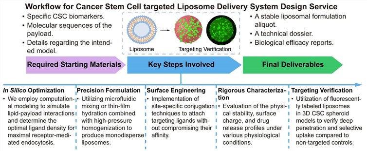 A simple procedure for cancer stem cell targeted liposome delivery system design service. (Creative Biolabs Original)