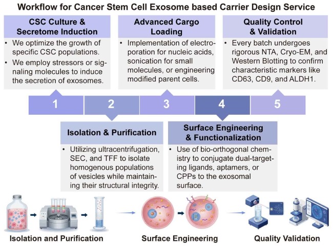 A simple procedure for cancer stem cell exosome based carrier design service. (Creative Biolabs Original)