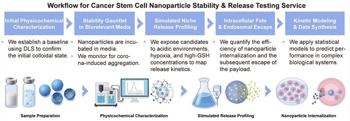 A simple procedure for cancer stem cell nanoparticle stability and release testing service. (Creative Biolabs Original)