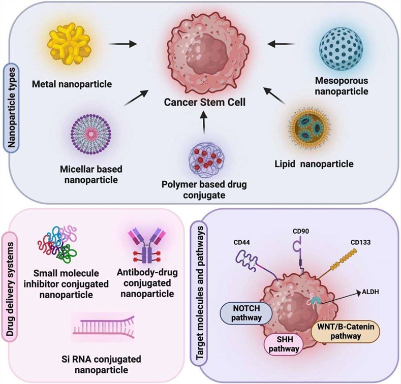 Fig.1 Targeting CSCs with nanomedicine types and applications. (OA Literature)
