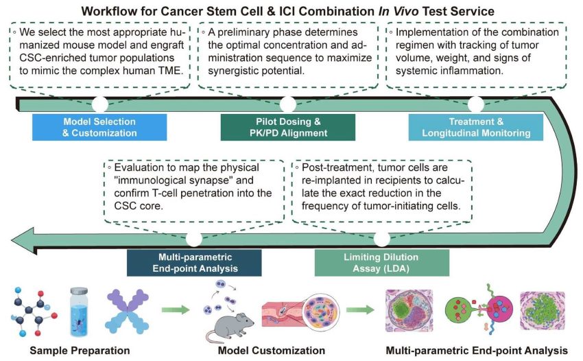 A simple procedure for cancer stem cell off-target risk evaluation service. (Creative Biolabs Original)