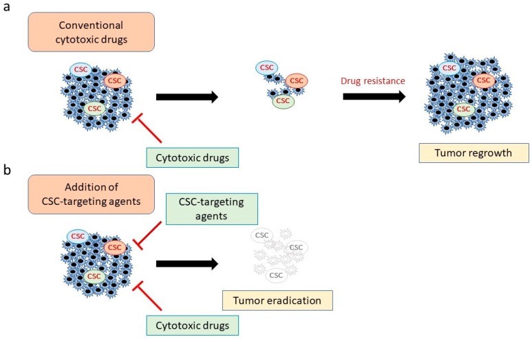 Fig.1 Enhancing chemotherapy by co-targeting CSCs. (OA Literature)