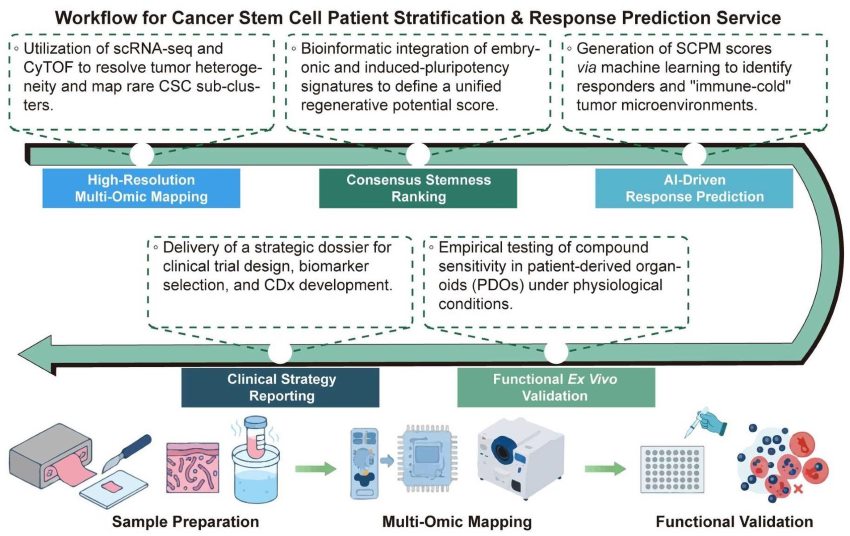A simple procedure for cancer stem cell patient stratification and response prediction service. (Creative Biolabs Original)