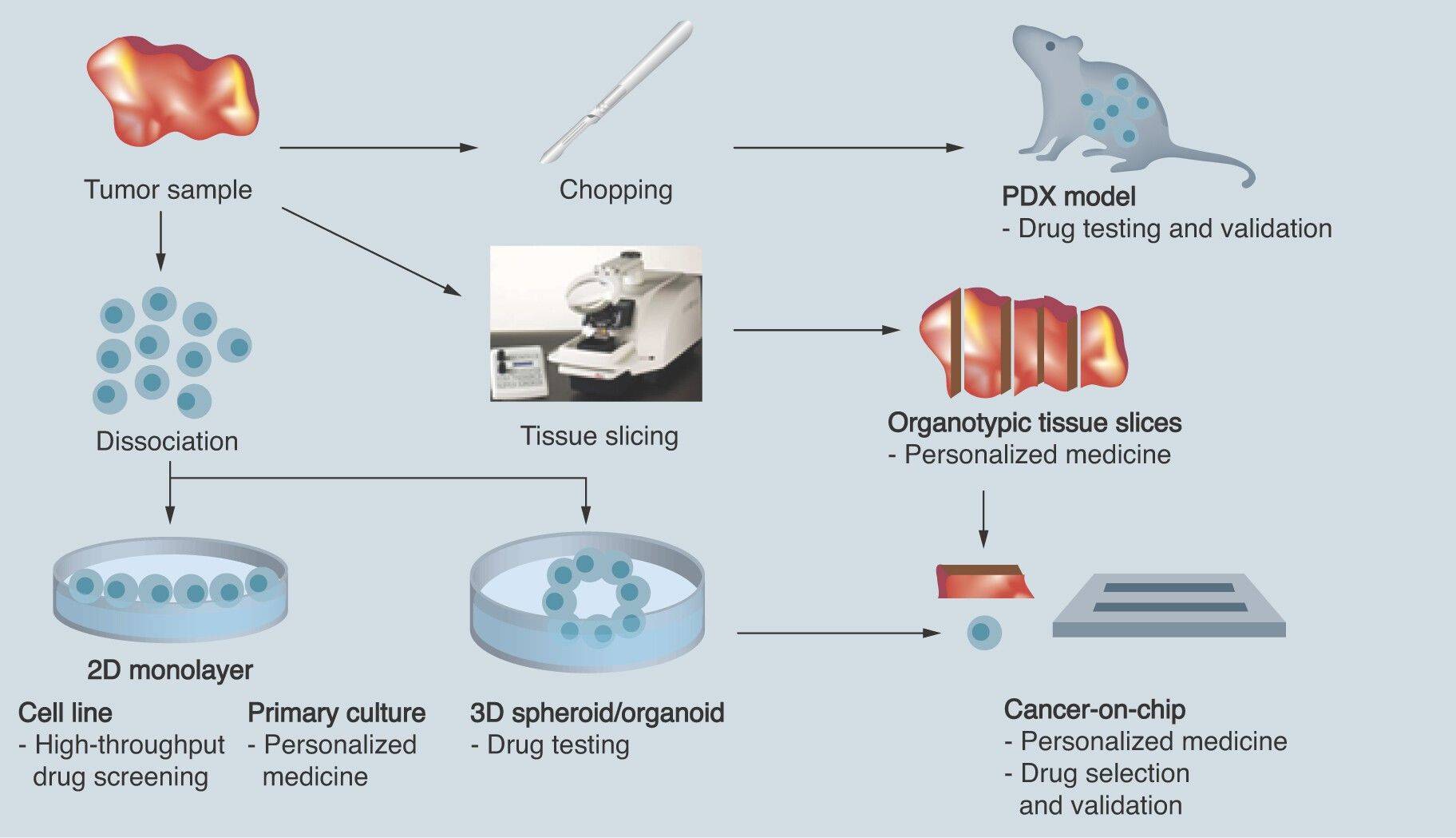 Fig.1 Harnessing ex vivo model systems for preclinical research. (OA Literature)
