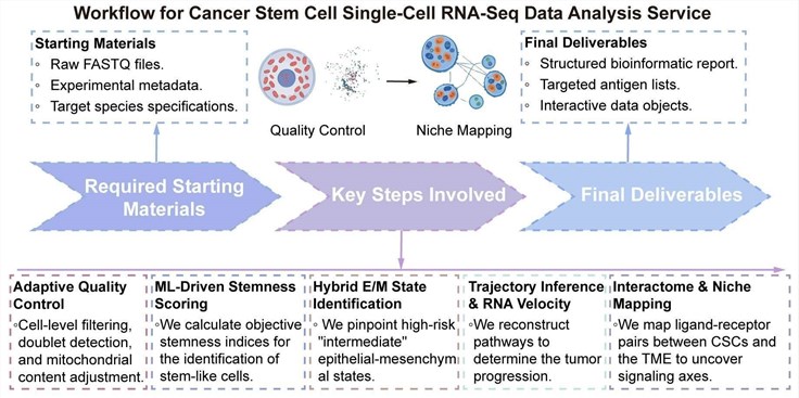 A simple procedure for cancer stem cell single-cell RNA-seq data analysis service. (Creative Biolabs Original)