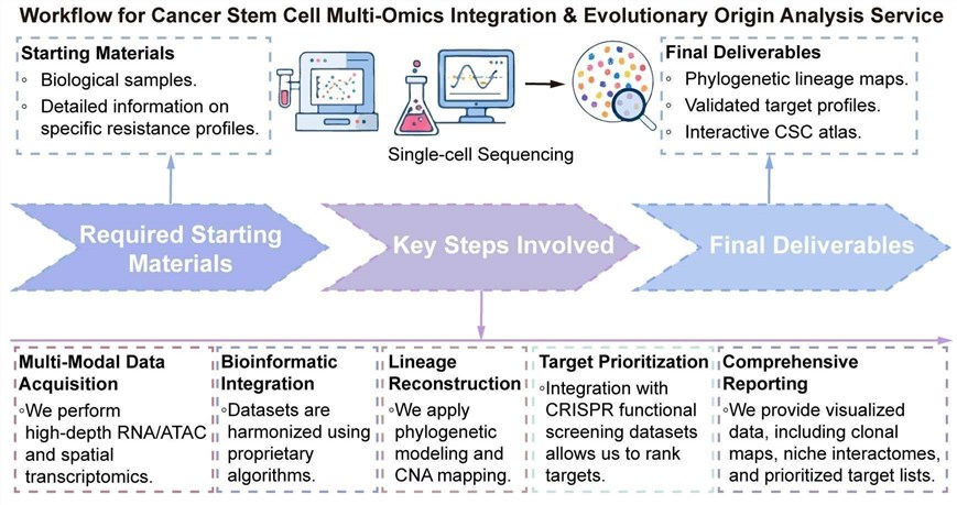 A simple procedure for cancer stem cell multi-omics integration and evolutionary origin analysis service. (Creative Biolabs Original)