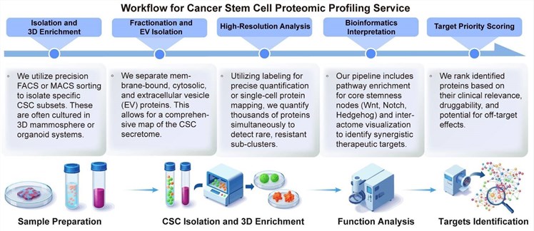 A simple procedure for cancer stem cell proteomic profiling service. (Creative Biolabs Original)