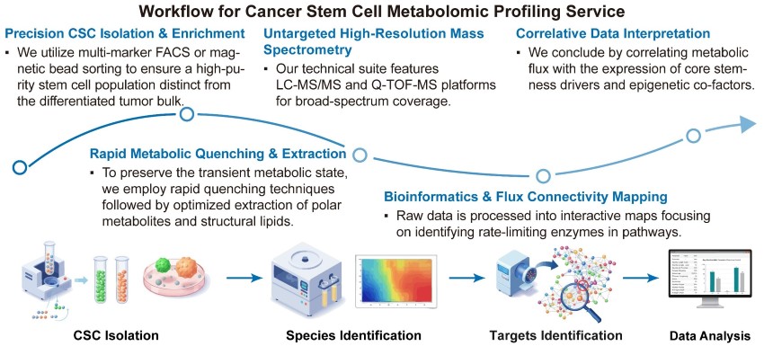 A simple procedure for cancer stem cell metabolomic profiling service. (Creative Biolabs Original)