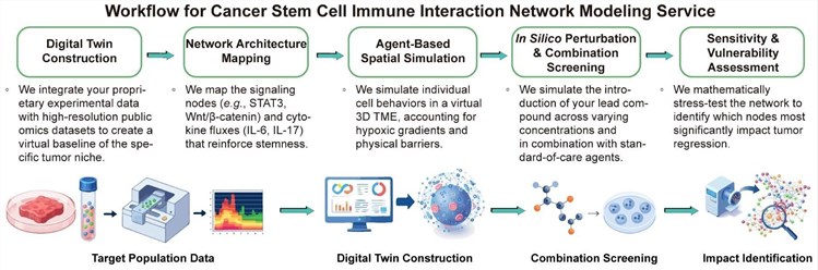 A simple procedure for cancer stem cell immune interaction network modeling service. (Creative Biolabs Original)