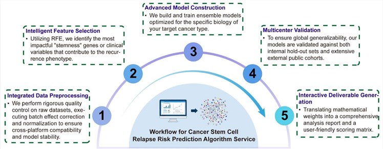 A simple procedure for cancer stem cell relapse risk prediction algorithm service. (Creative Biolabs Original)