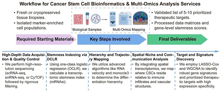 A simple procedure for cancer stem cell bioinformatics and multi-omics analysis services. (Creative Biolabs Original)