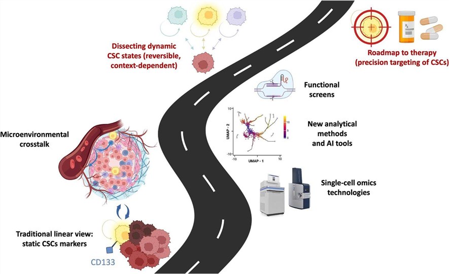 Fig.1 Deconstructing the static view, integrated omics and functional screens reveal the dynamic nature of CSCs. (OA Literature)