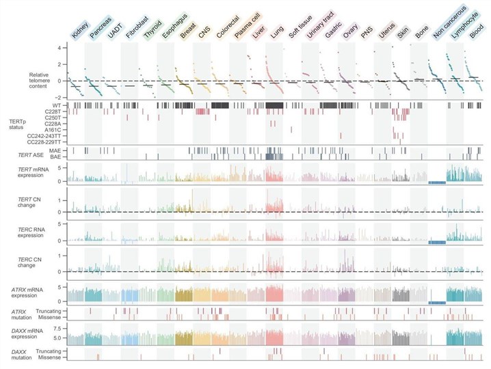 Fig.1 Deconstructing the static view, integrated omics and functional screens reveal the dynamic nature of CSCs. (OA Literature)