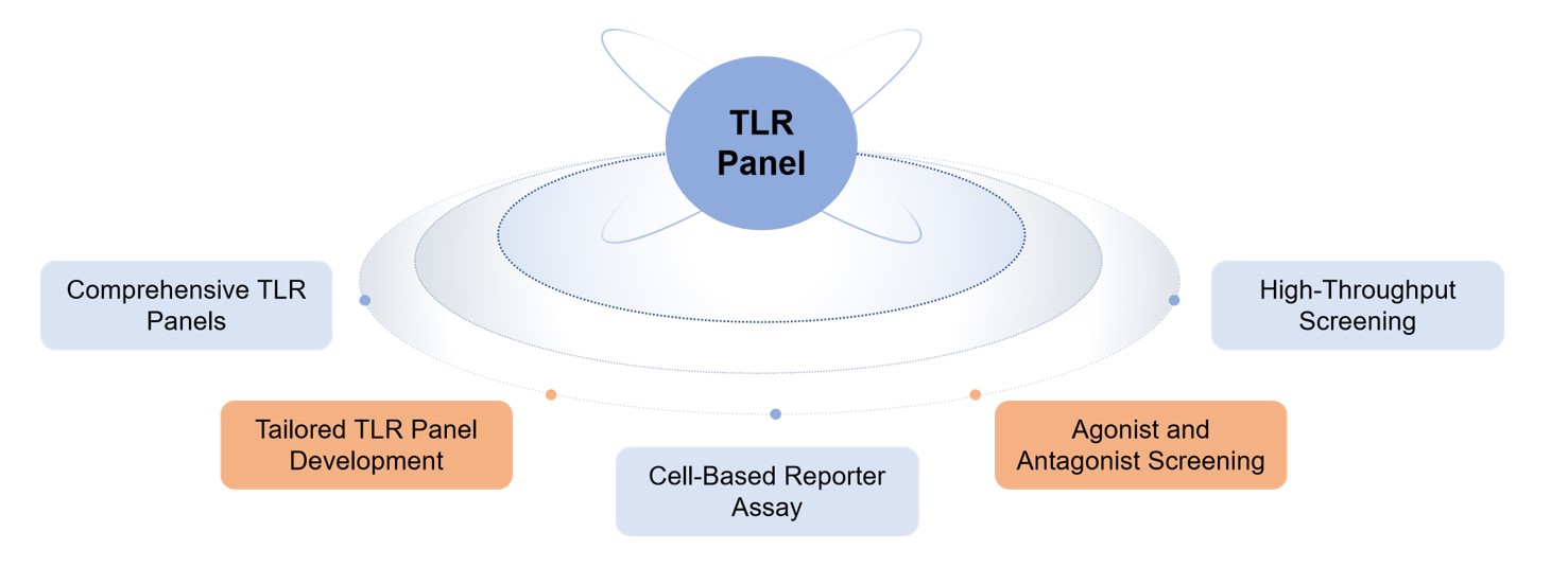 Features of our TLR panel. (Creative Biolabs original)