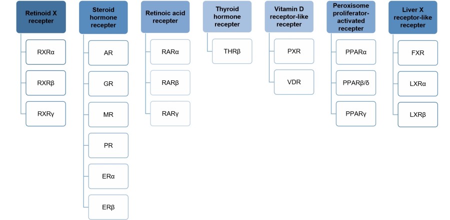 List of NHRs. (Creative Biolabs original)
