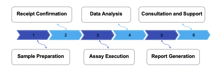 Fig.1 Process. (Creative Biolabs Original)