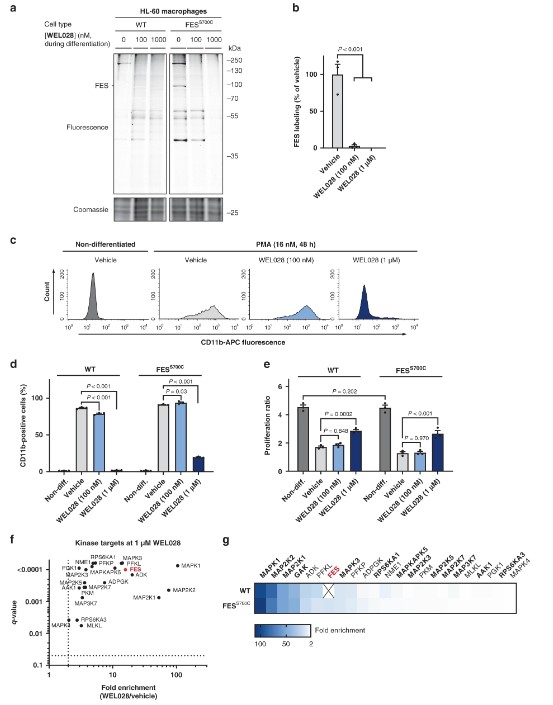 Fig.1 Comparative target engagement profiling. (OA Literature)