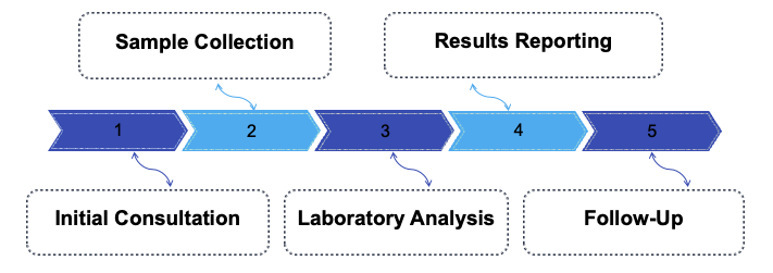 Fig.1 Process. (Creative Biolabs Original)