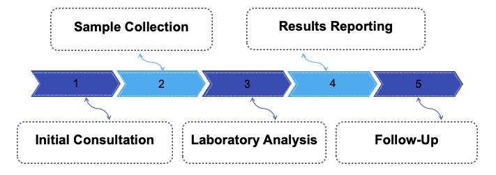 Fig.1 Process. (Creative Biolabs Original)