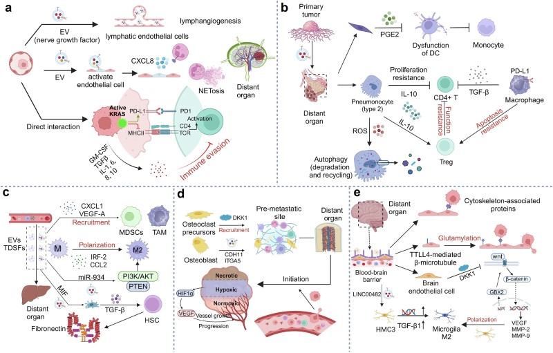 Fig 1. Landscape of pre-metastatic niche in metastasis organotropism. (OA Literature)