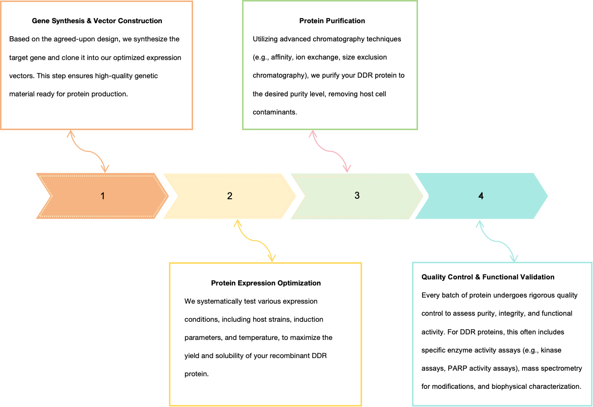 Fig.1 Cellular effects mediated by protein kinases. (OA Literature)