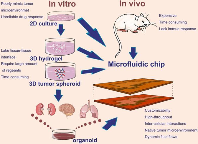 Fig 1. Microfluidic chip as a promising technology can flexible integrin these cell culture modes on a chip. (OA Literature)