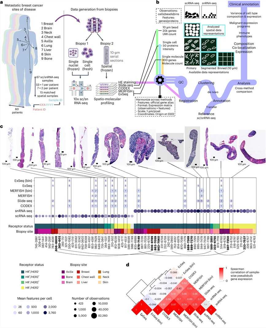 Fig 1. Microfluidic chip as a promising technology can flexible integrin these cell culture modes on a chip. (OA Literature)